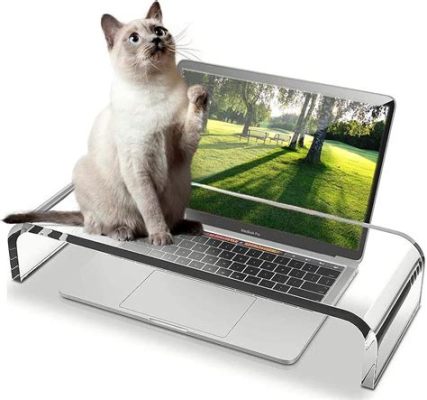 キーボード スタンド: なぜ猫はそれを無視するのか？